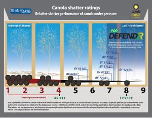 Canola Shatter Ratings