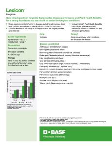 Lexicon Tech Sheet