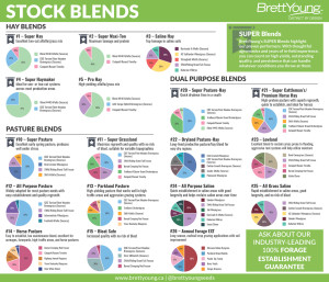 Stock Blends Portfolio