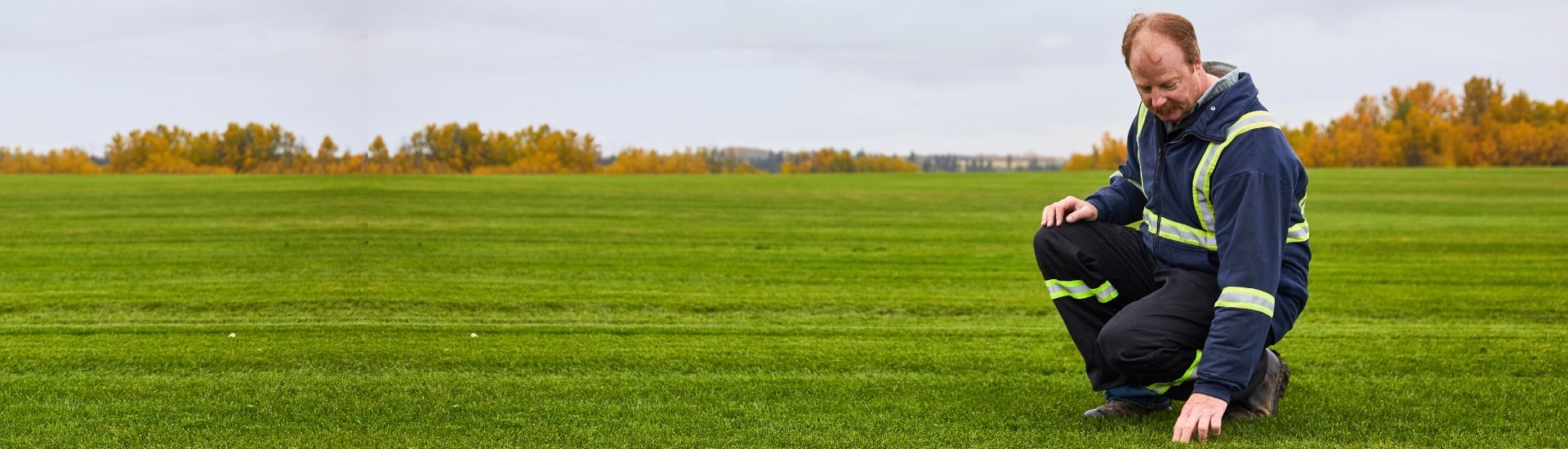 Canadian Sod Farm