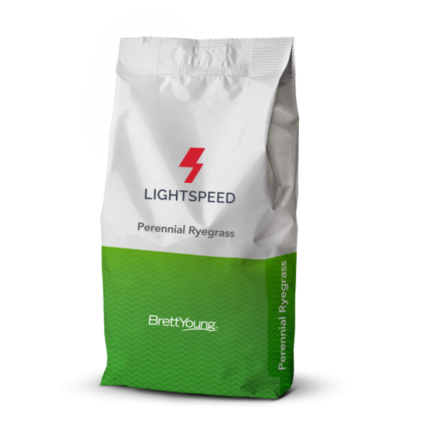 Lightspeed Perennial Ryegrass