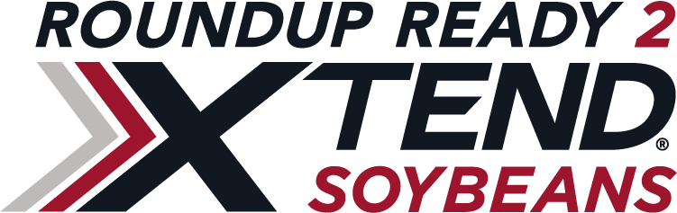 Soybeans - BrettYoung Soybeans