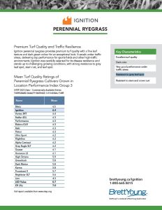 Ignition Tech Sheet