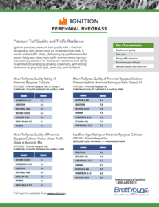 Ignition Tech Sheet