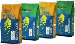 Package By Seed Count