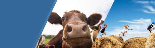 Agricultural Seed & Crop Inputs