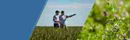 Seed Production