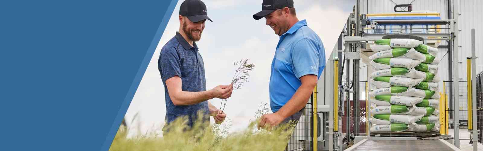 Wholesale Forage & Turf Seed Distributor