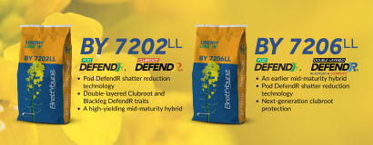 Agricultural Seed & Crop Inputs Canada Portal BY 7202LL/BY 7206LL
